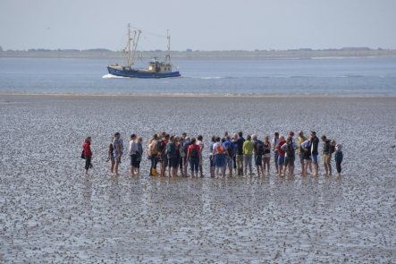 Wattenmeer